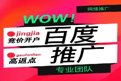 百度竞价广告的关键词选择与出价策略案例